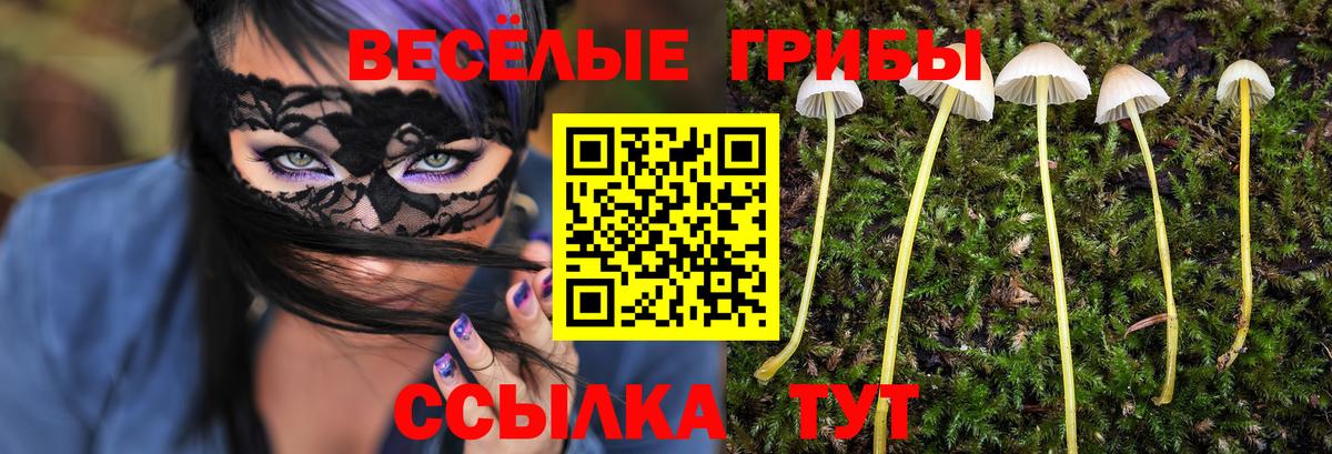 Псилоцибиновые грибы прущие грибы  купить наркотики сайты  Галлюциногенные грибы GOLDEN TEACHER  Учалы  Вход с VPN 